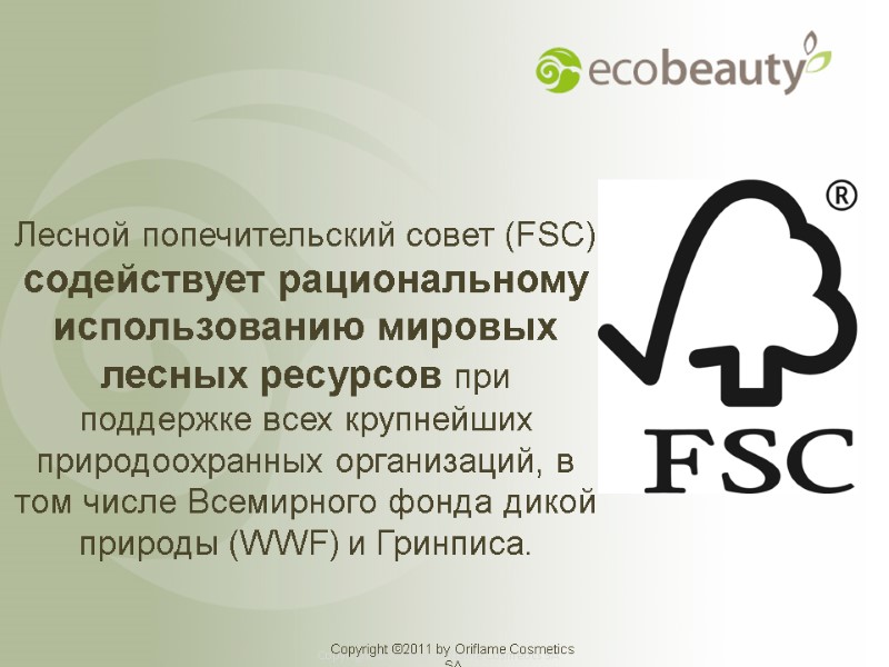 Лесной попечительский совет (FSC) содействует рациональному использованию мировых лесных ресурсов при поддержке всех крупнейших